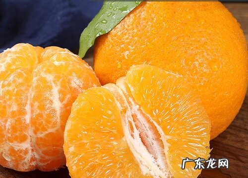 丑橘什么时候成熟