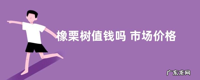 橡栗树值钱吗 市场价格