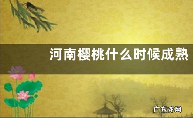 河南樱桃什么时候成熟