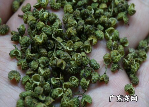 麻椒什么时候成熟