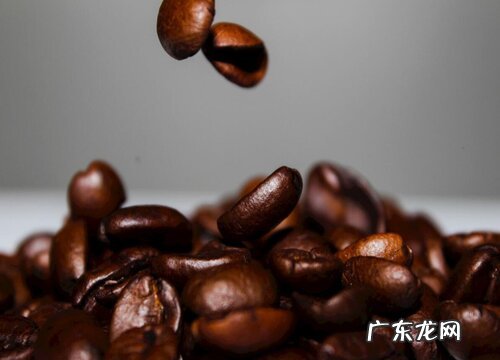 咖啡豆生长环境条件及特点