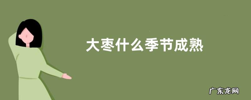 大枣什么季节成熟