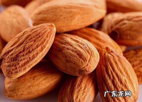 杏仁什么季节成熟