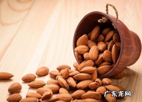 杏仁什么季节成熟