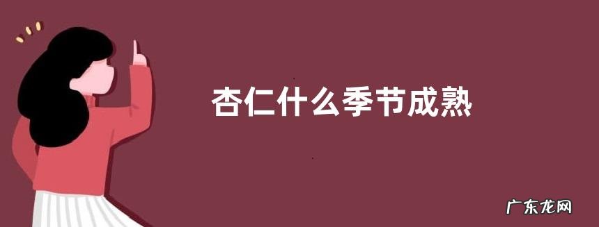 杏仁什么季节成熟