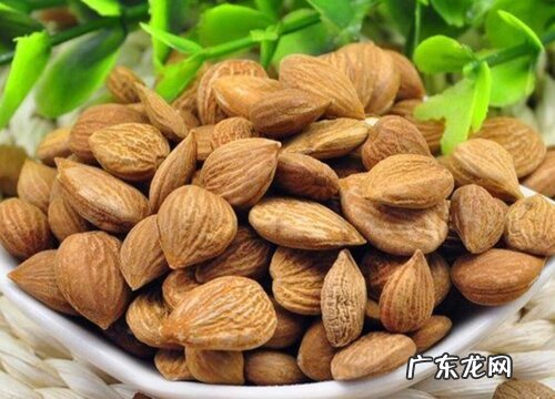 杏仁什么季节成熟