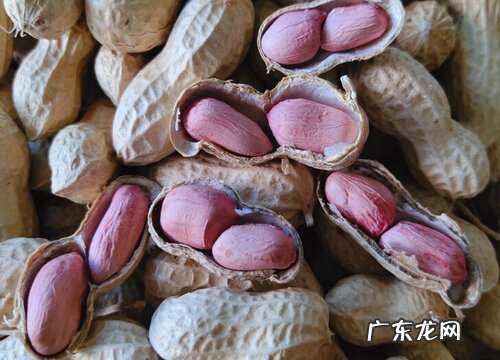 春花生什么时候收获 在几月份收获好