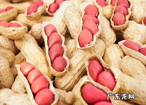 春花生什么时候收获 在几月份收获好