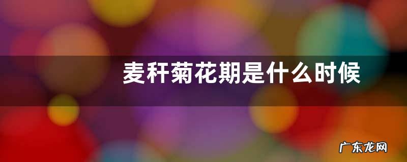 麦秆菊花期是什么时候