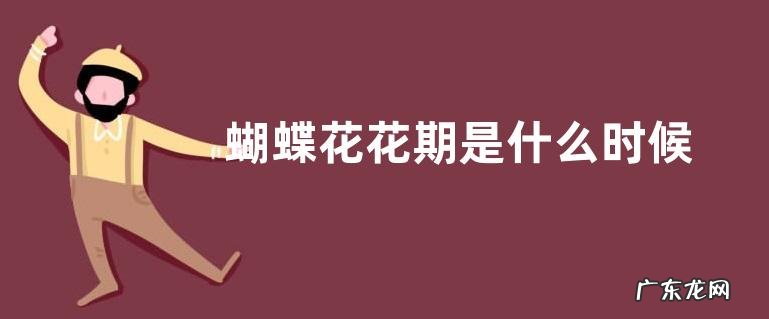 蝴蝶花花期是什么时候