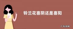 铃兰花喜阴还是喜阳
