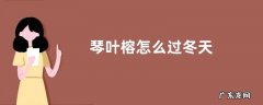 琴叶榕怎么过冬天