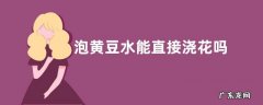 泡黄豆水能直接浇花吗 黄豆水浇花正确方法