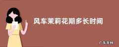 风车茉莉花期多长时间 开花持续几个月