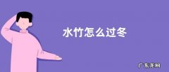水竹怎么过冬