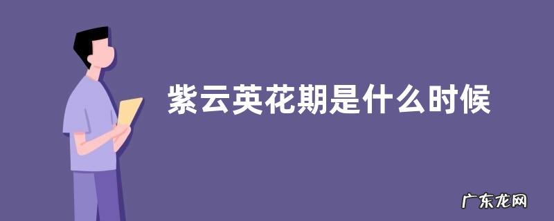紫云英花期是什么时候