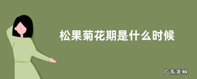 松果菊花期是什么时候