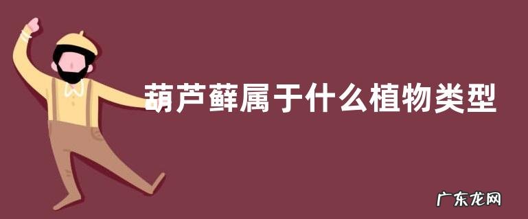 葫芦藓属于什么植物类型