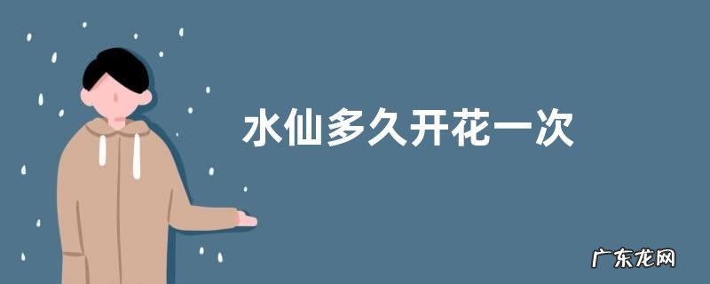 水仙多久开花一次