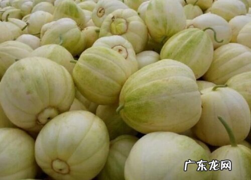 香瓜几月份成熟