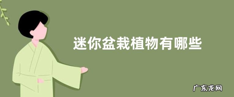 迷你盆栽植物有哪些