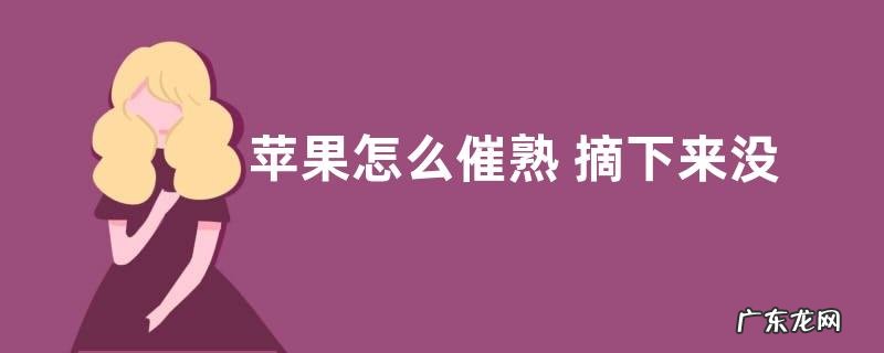 苹果怎么催熟 摘下来没熟的苹果怎样变熟