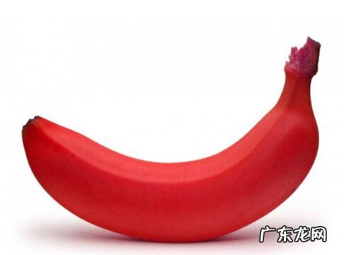 红香蕉什么时候成熟