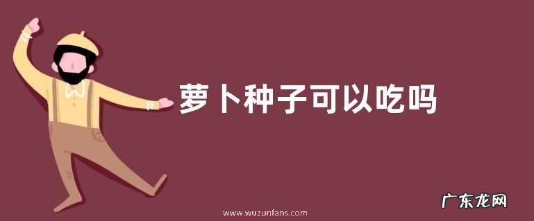 萝卜种子可以吃吗