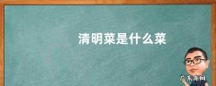 清明菜是什么菜