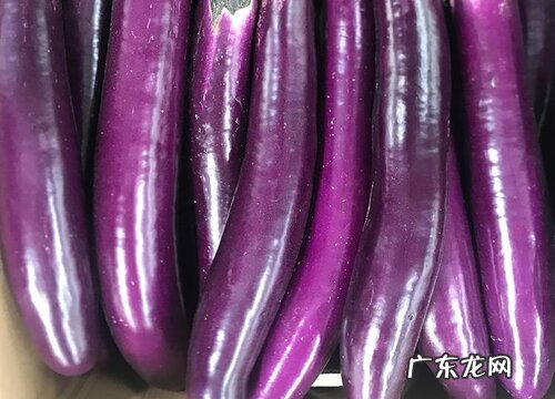 茄子的保存方法