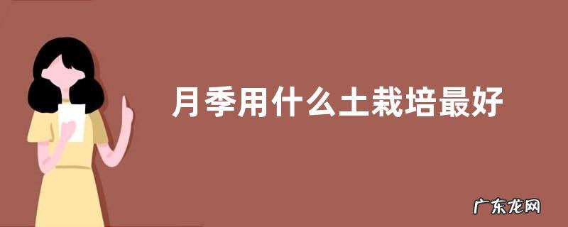 月季用什么土栽培最好