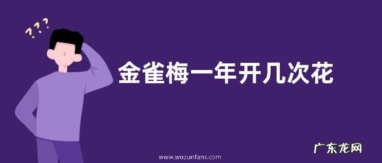 金雀梅一年开几次花