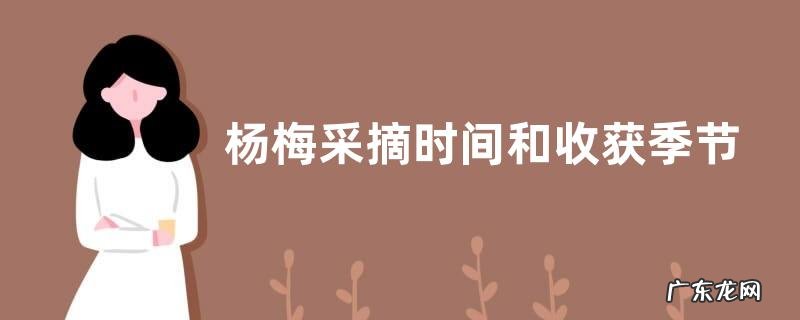 杨梅采摘时间和收获季节