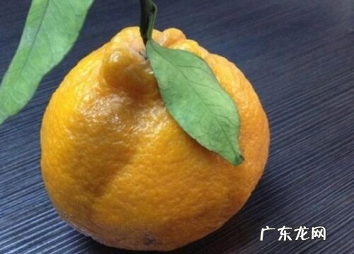 丑八怪什么时候成熟