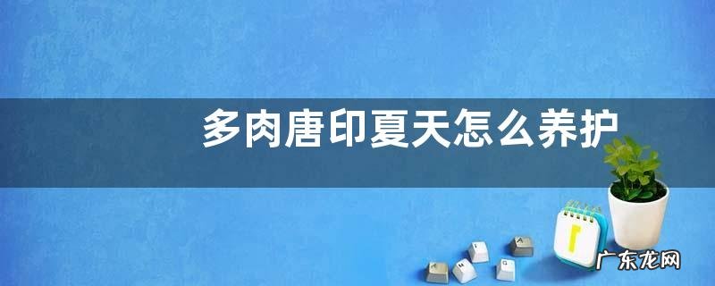 多肉唐印夏天怎么养护 夏季养殖方法