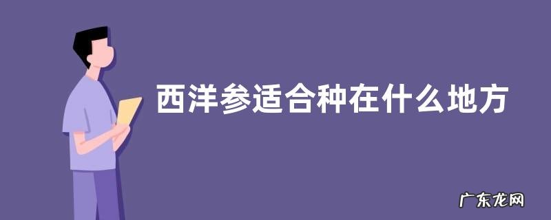 西洋参适合种在什么地方 种植需要什么条件