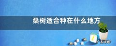 桑树适合种在什么地方 种在房子哪边好