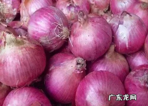 洋葱保存方法