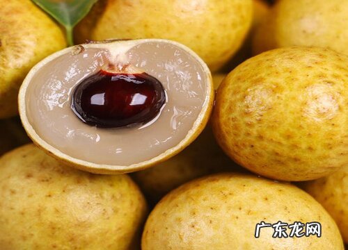 龙眼几月份成熟上市