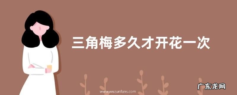 三角梅多久才开花一次
