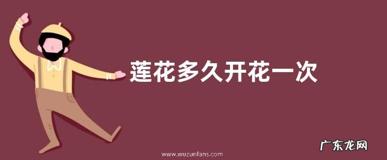 莲花多久开花一次