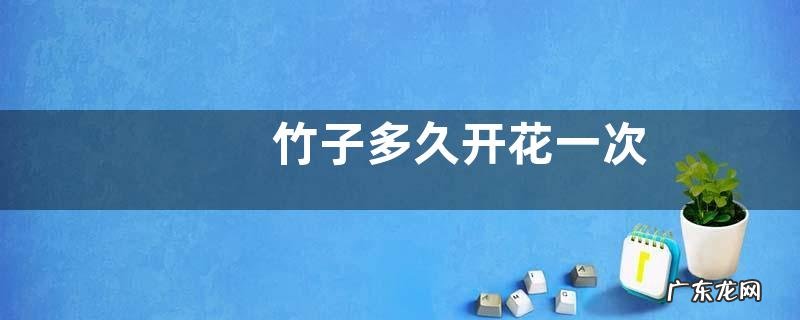 竹子多久开花一次