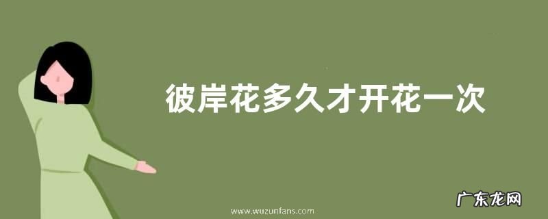 彼岸花多久才开花一次