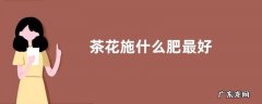 茶花施什么肥最好
