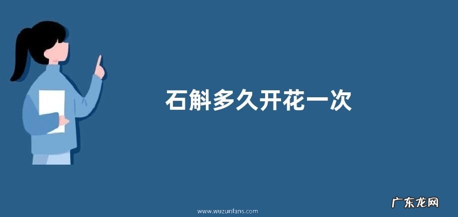石斛多久开花一次