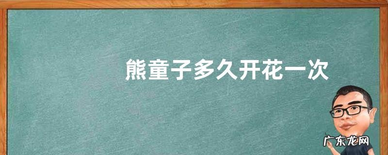 熊童子多久开花一次