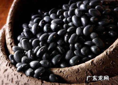 黑豆几月份成熟上市