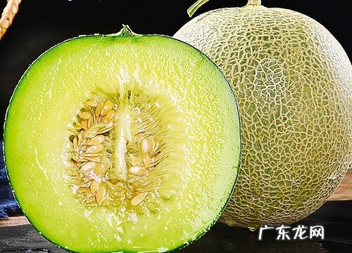 网纹瓜几月份成熟上市