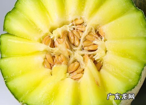 网纹瓜几月份成熟上市