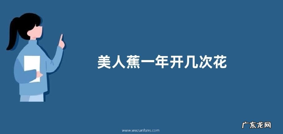 美人蕉一年开几次花
